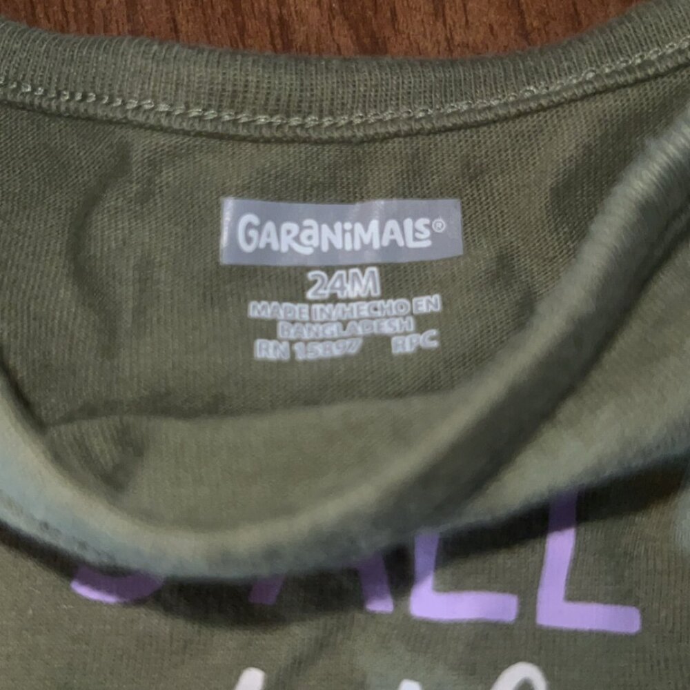 Garanimals Green Long Sleeve Graphic Tee - 24 Months